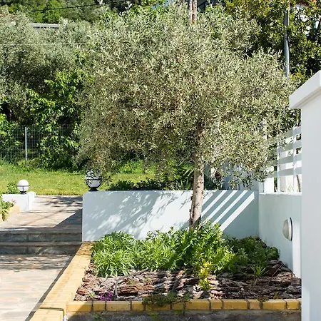 Olive Garden Villas&apartments Appartement Chrysi Ammoudia