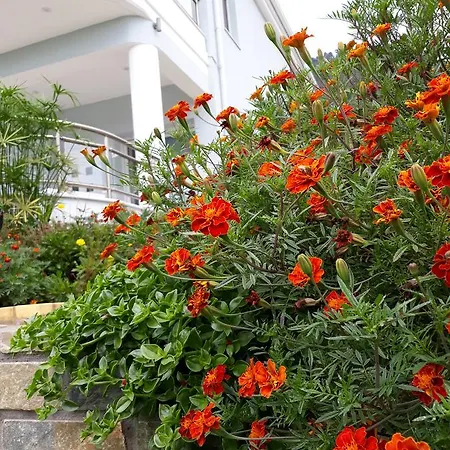 Olive Garden Villas&apartments * Chrysi Ammoudia