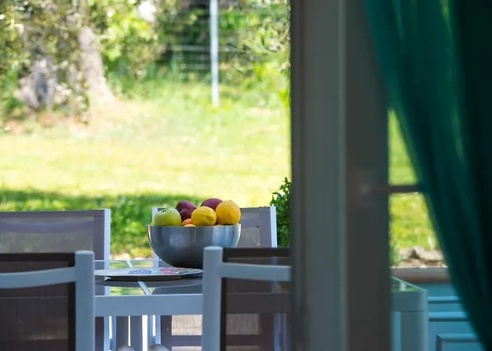 Olive Garden And Chrysi Ammoudia