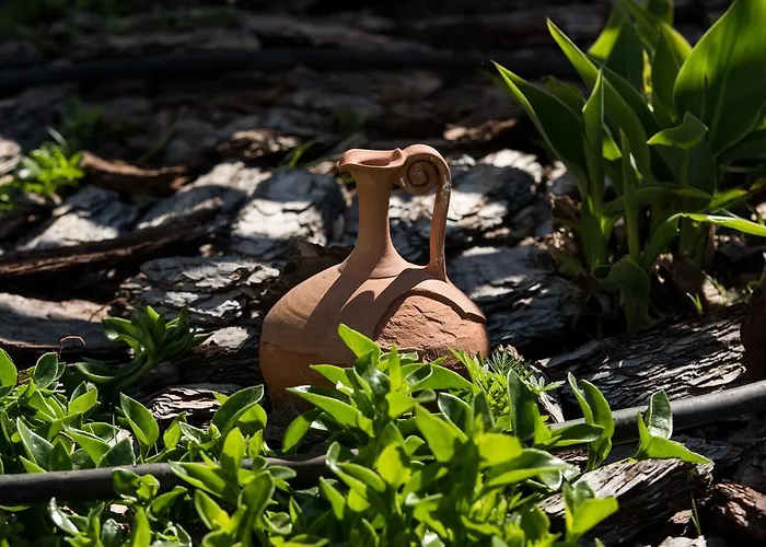 Apartment Olive Garden And *