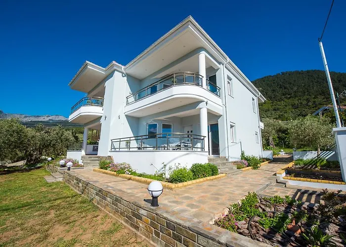 Olive Garden And * Chrysi Ammoudia