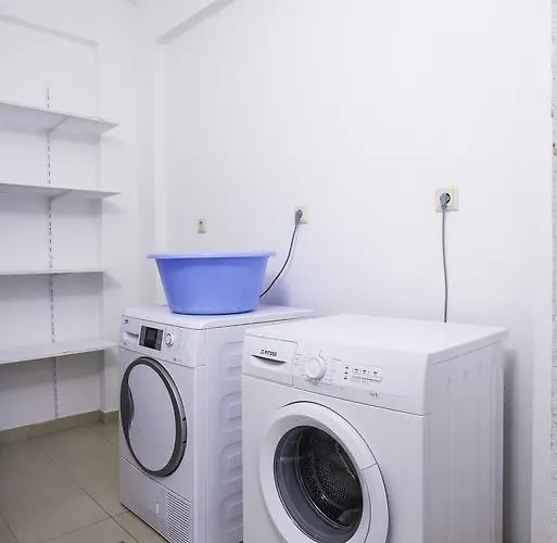 Olive Garden And Chrysi Ammoudia