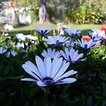 アパート Olive Garden And *