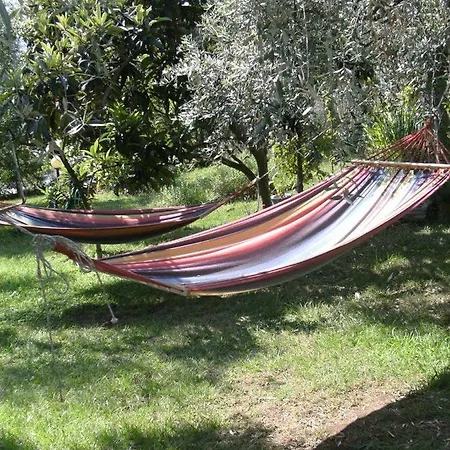 Apartament Olive Garden And