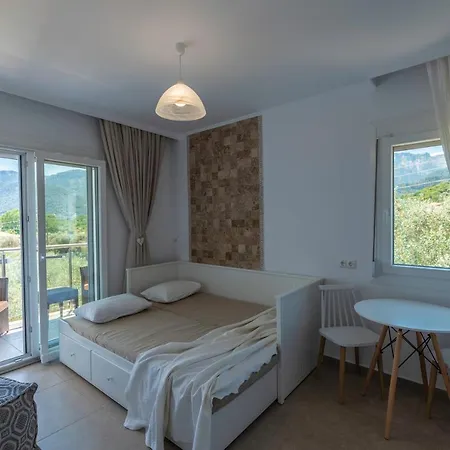 Apartament Olive Garden And *