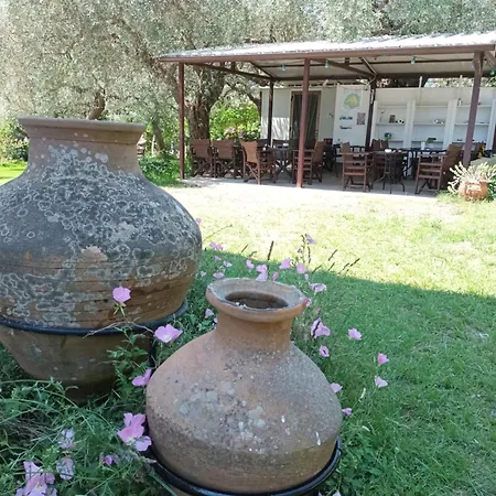 Apartament Olive Garden And