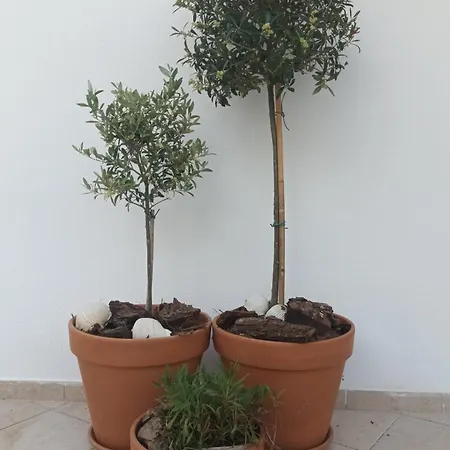 Apartament Olive Garden And Chrysi Ammoudia