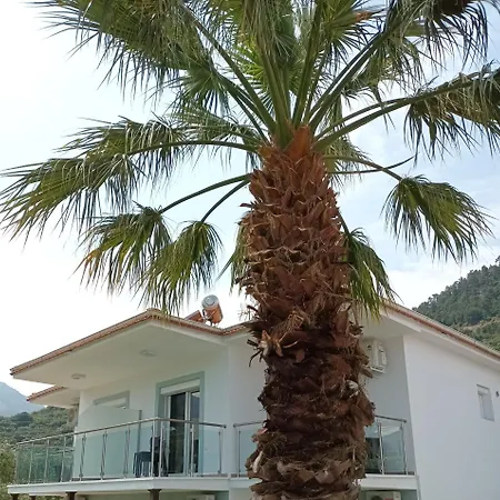 Olive Garden Villas Appartement *
