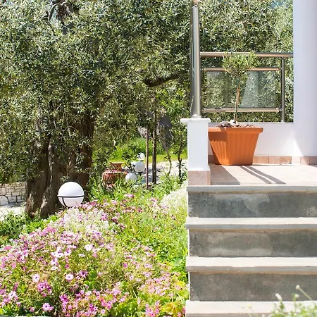Apartament Olive Garden And
