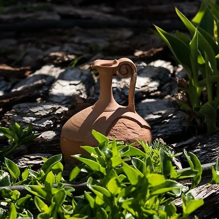 公寓 Olive Garden And *