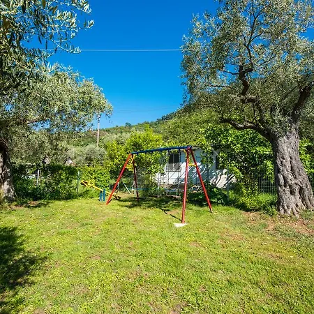 Apartament Olive Garden And