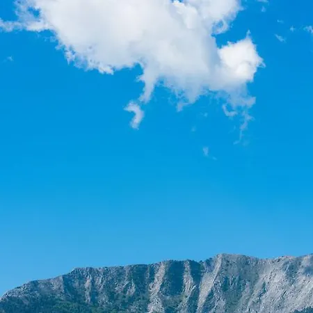 Olive Garden And 아파트