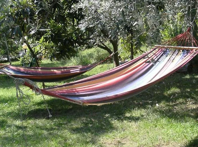 Apartament Olive Garden And