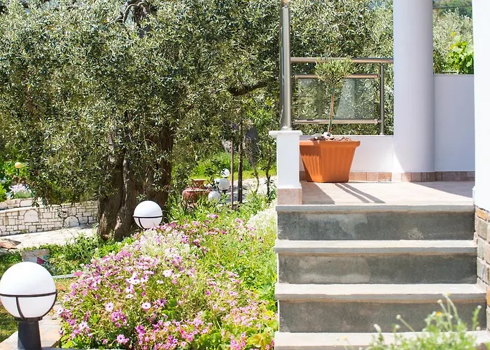 Apartament Olive Garden And