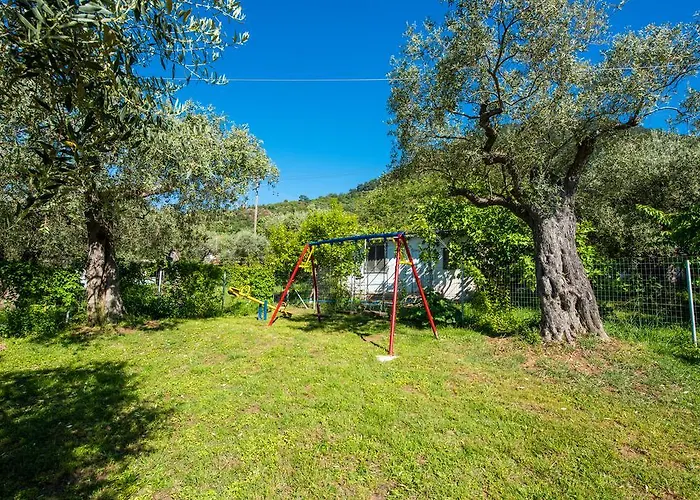 Apartament Olive Garden And