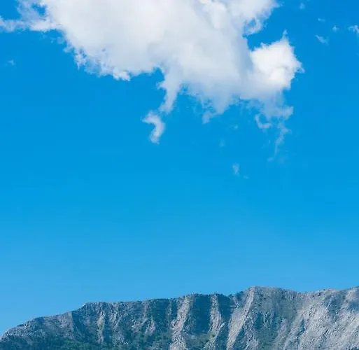 Olive Garden And Apartament